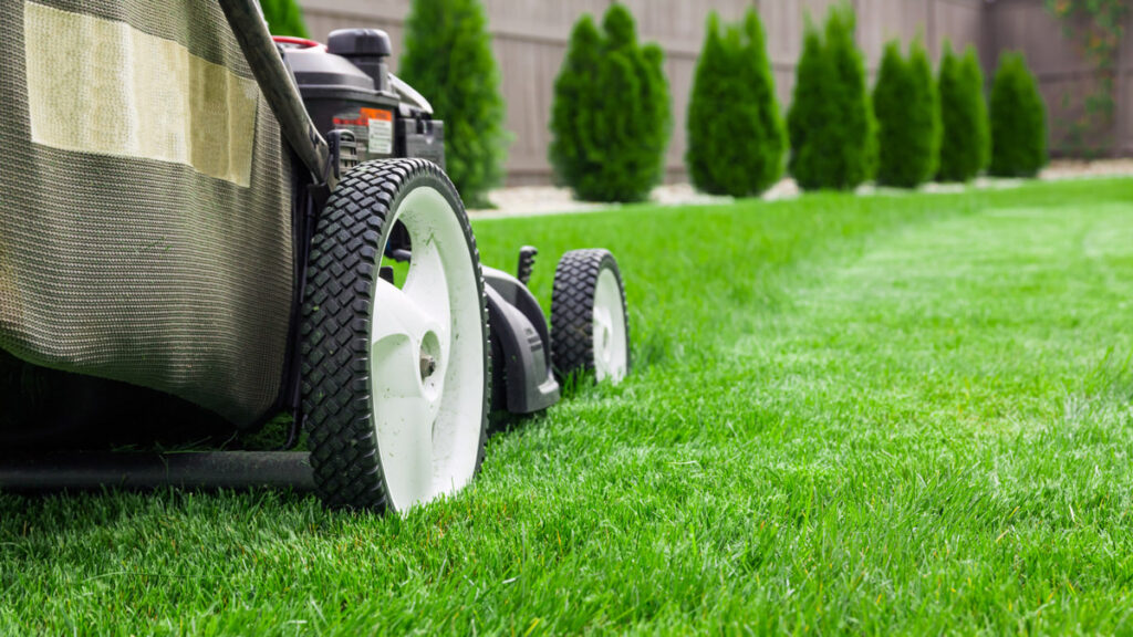 3 Things That May Be Working Against Your Lawn Care