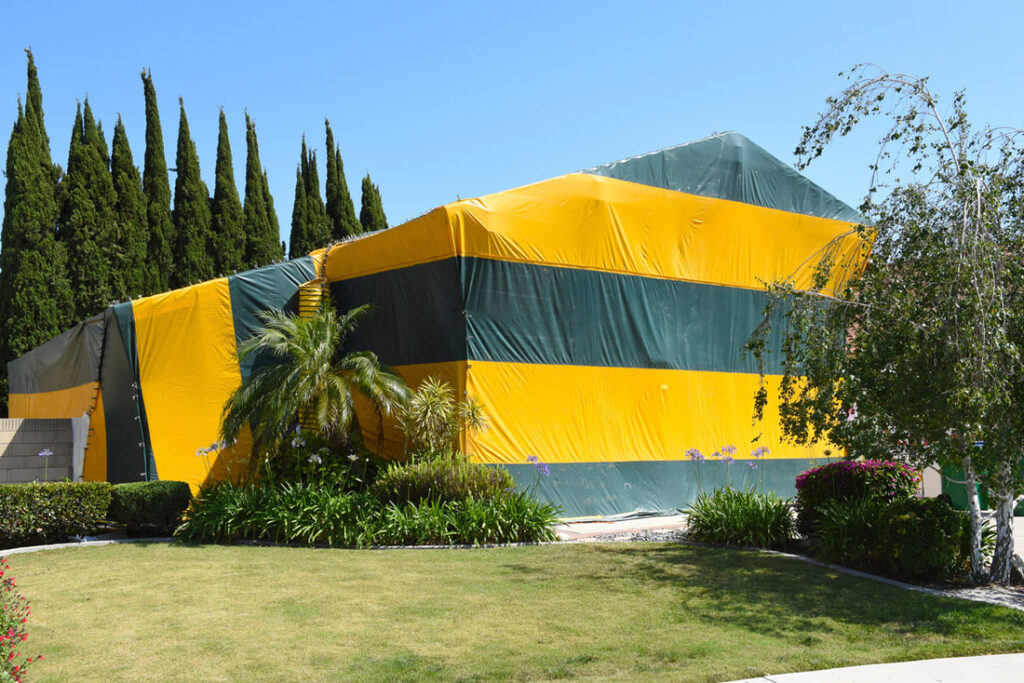 A Closer Look At The Fumigation Solution