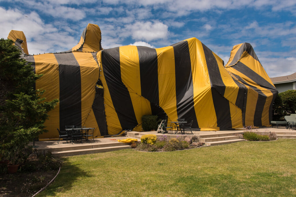 A Few Things You May Not Have Expected After Fumigation