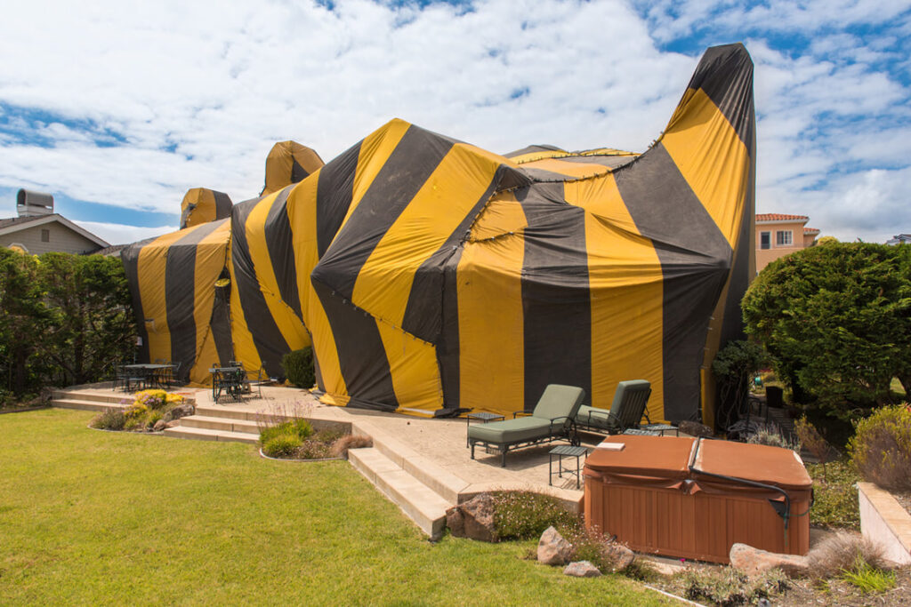 Are You And Your Home Fumigation Ready?