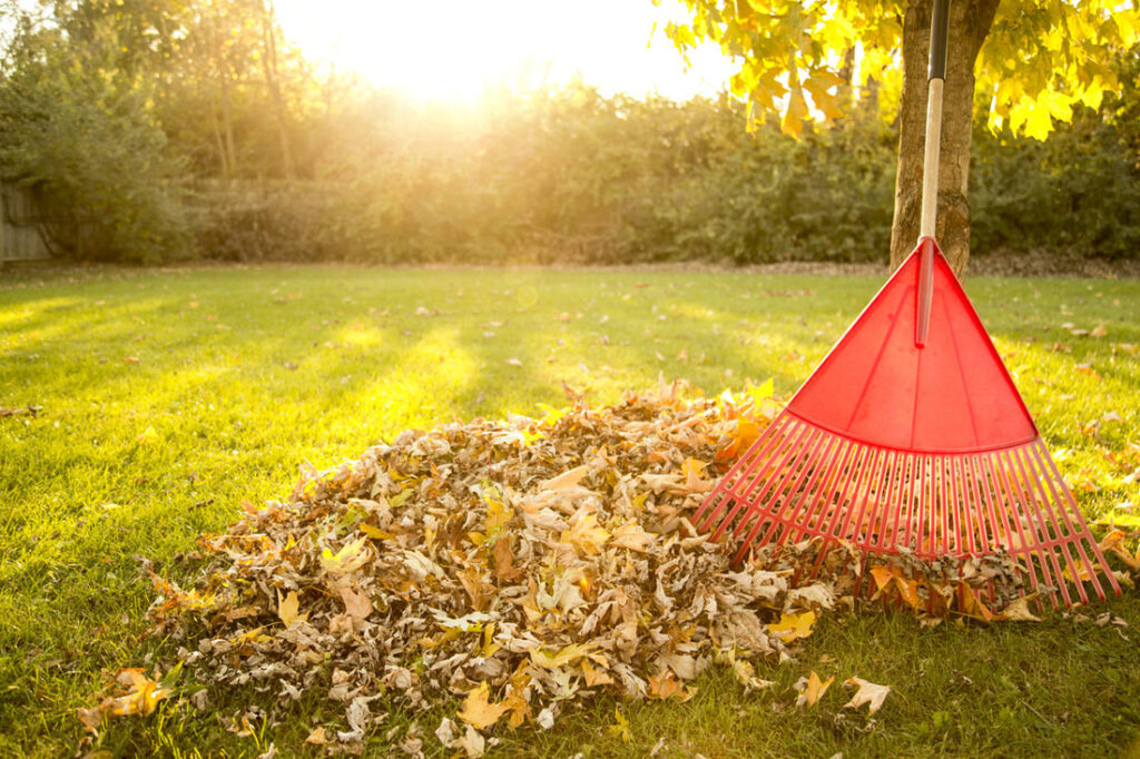 Are You Ready To Take On Your Fall Lawn Care Duties?