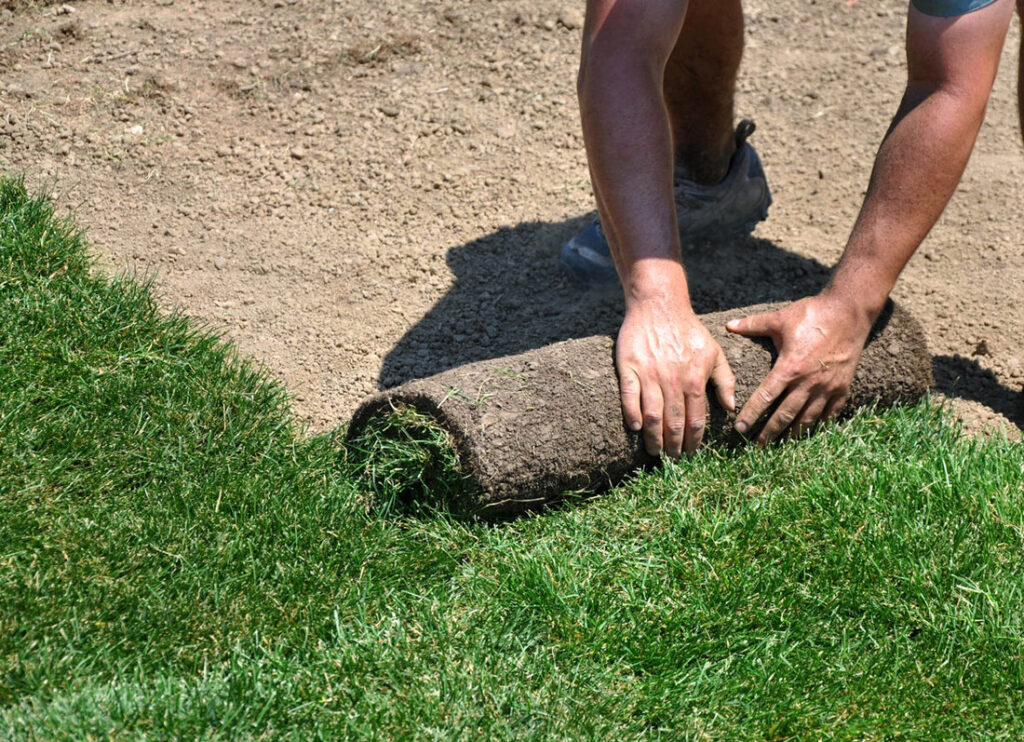 Don't Leave Your Sod Install To Chance