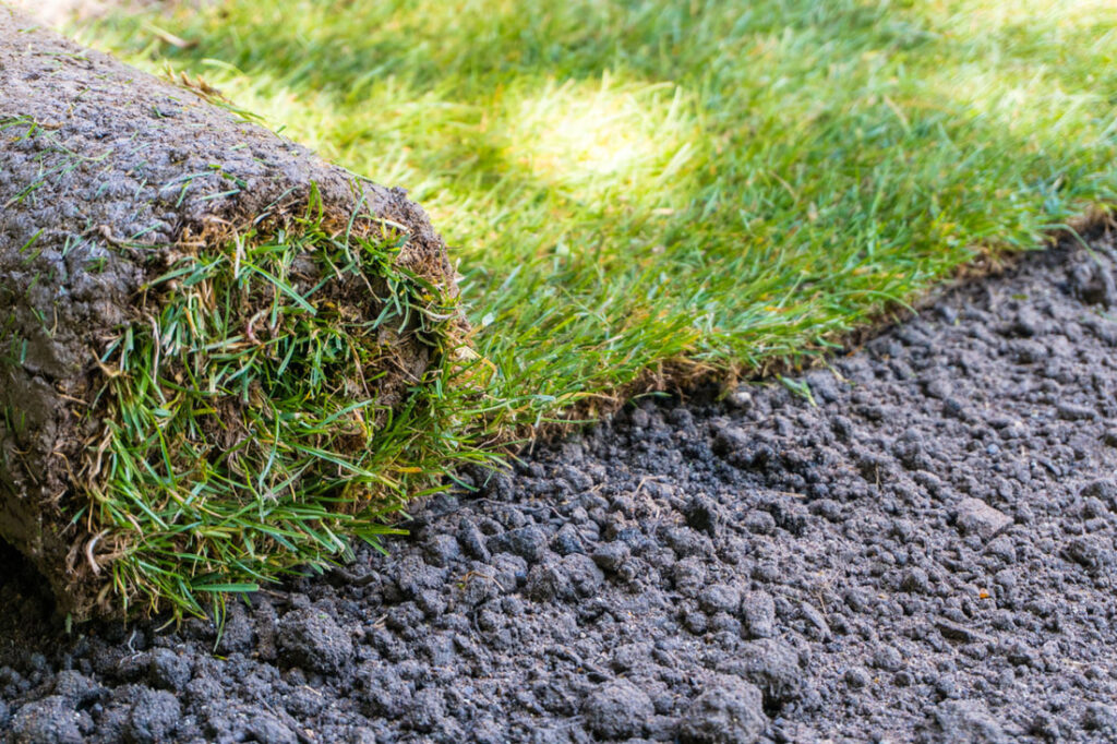 How To Care For Your New Sod Install