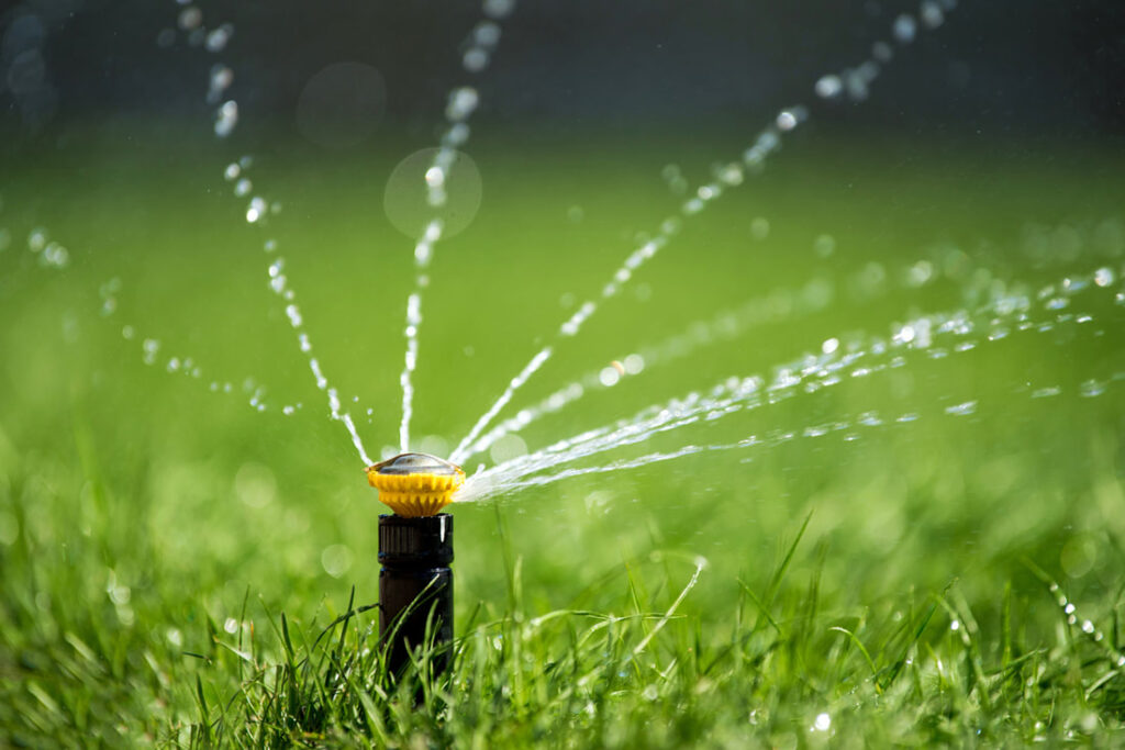 How To Self-Diagnose Your Irrigation Issues