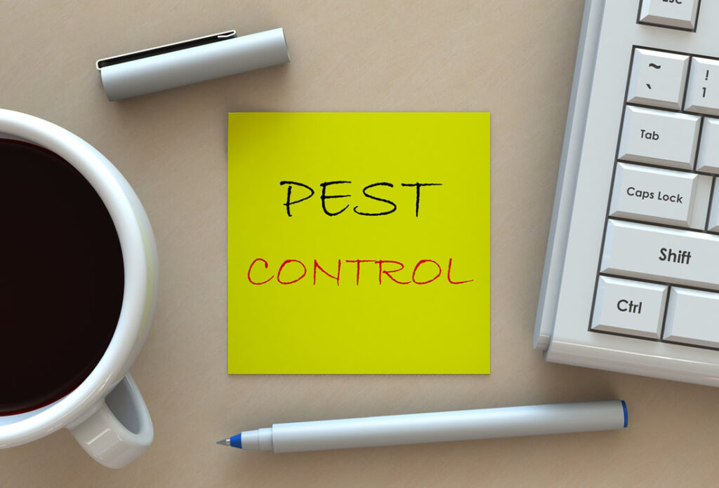 Pest Control That Helps Prevent Disease