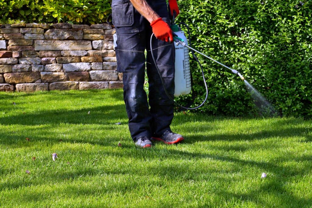 Professional Pest Control Has Environmental Benefits