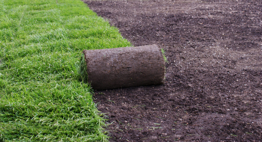 Put An End To Your Turf Battles With A New Sod Install