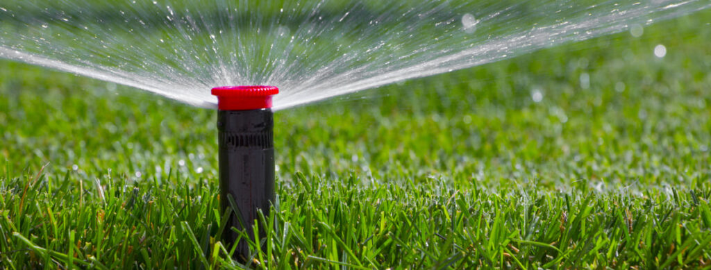 Save Your Money And The Planet With This Irrigation Hack