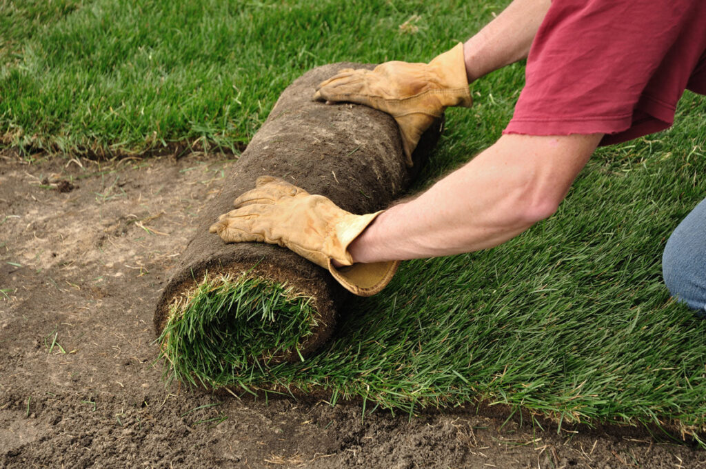 The 3 Things You Should Do Before Your Sod Install