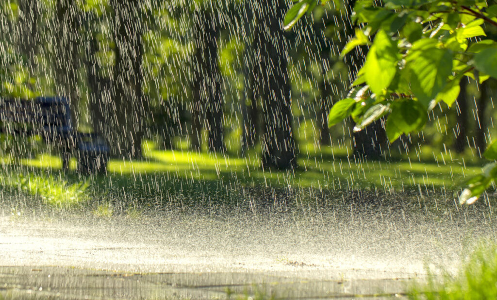 The Summertime Weather That Reminds You to Get Termite Control