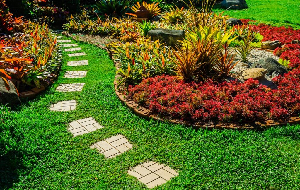 What Your Lawn Is Telling You About Your Lawn Care
