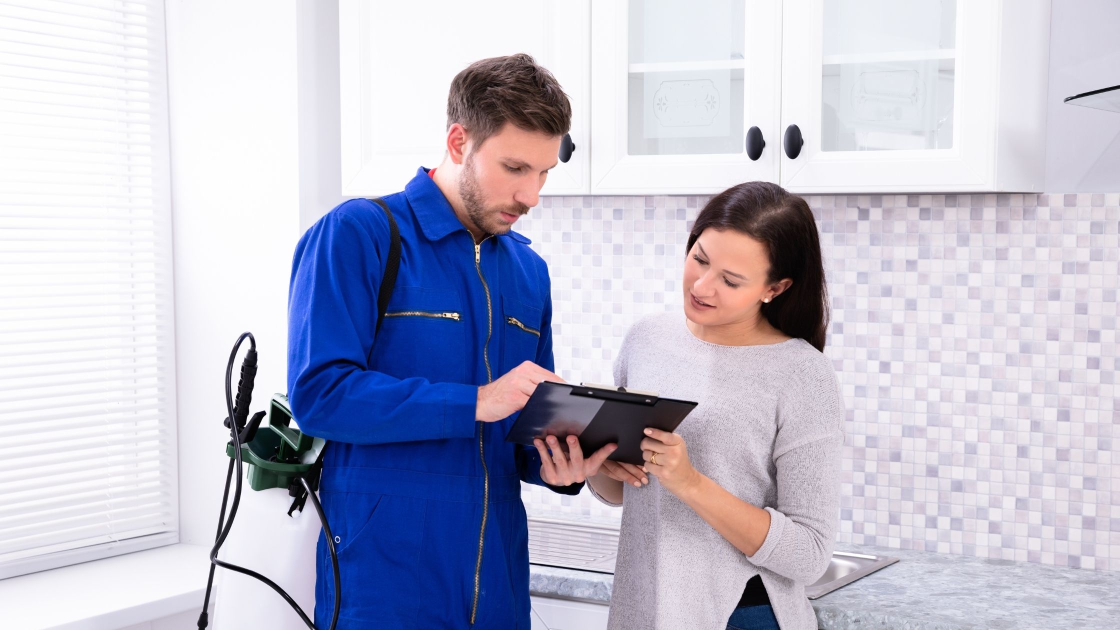 Finding DeLand’s Best Termite Control Company