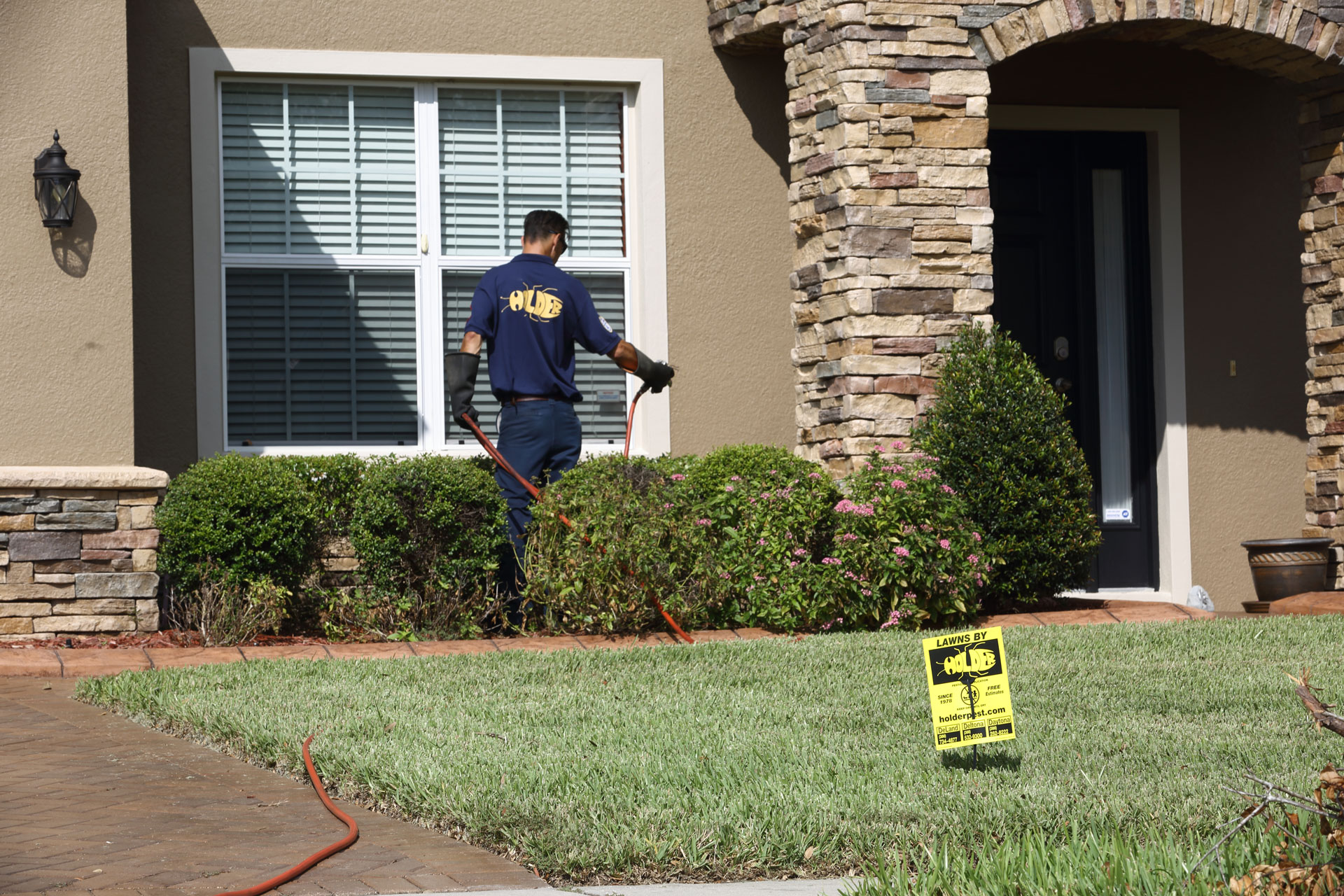 Fast & Effective Pest and Termite Control in DeLand