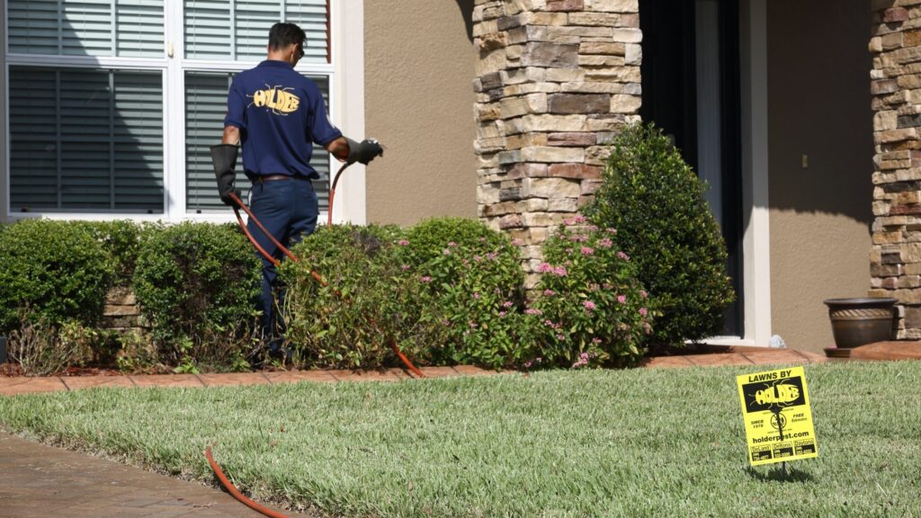 How To Choose The Right Termite Control Company In DeLand