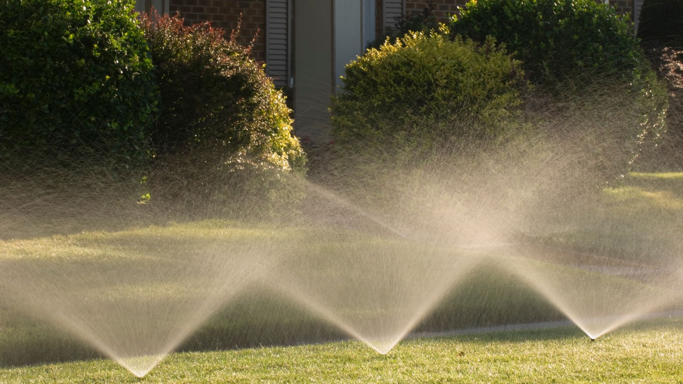 Get Your Yard Ready For Spring: Sod, Sprinklers, Lawn Treatment, and More