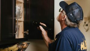 What Kind of Termites Should I be Worried About in Volusia County?