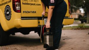 Why DIY Pest Control Doesn't Always Work